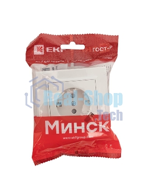 Розетка EKF Минск ERR16-028-100-USB 1-местная СП с/з с защитными шторками 16А белая с USB 1А