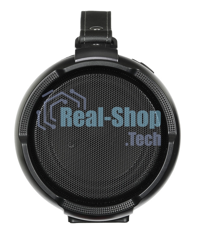 Колонка портативная Digma S-22 черный 15W 1.0 BT 1500mAh (SP2215B)