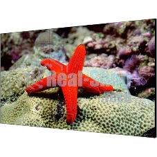 Экран LCD Hikvision DS-D2055LR-G 55
