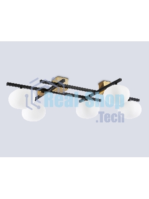 Светильник Ambrella light LH51015/5 BK/BS/FR черный/латунь/белый матовый G9*5 max 28W 800*560*170