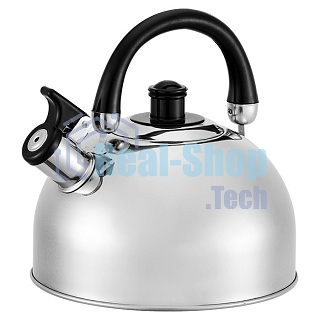 Чайник для плиты WEBBER BE-0526 из нерж.стали 2.5 л (12)