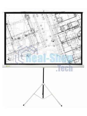 Экран Cactus 127x127см Triscreen CS-PST-127X127 1:1 напольный рулонный белый
