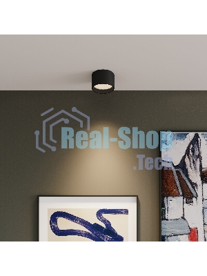 Светильник потолочный светодиодный Banti 13W 3000K черный 25123/LED