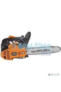 Бензопила Carver RSG 225Х 700Вт 0.1л.с. дл.шины:12