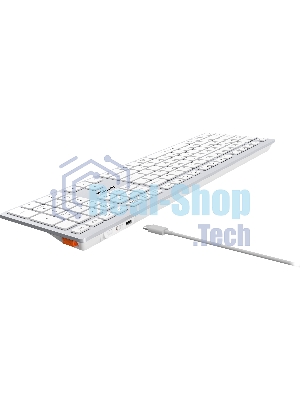 Клавиатура беспроводная A4Tech Fstyler FBX50C, USB, Bluetooth/Радиоканал, белый
