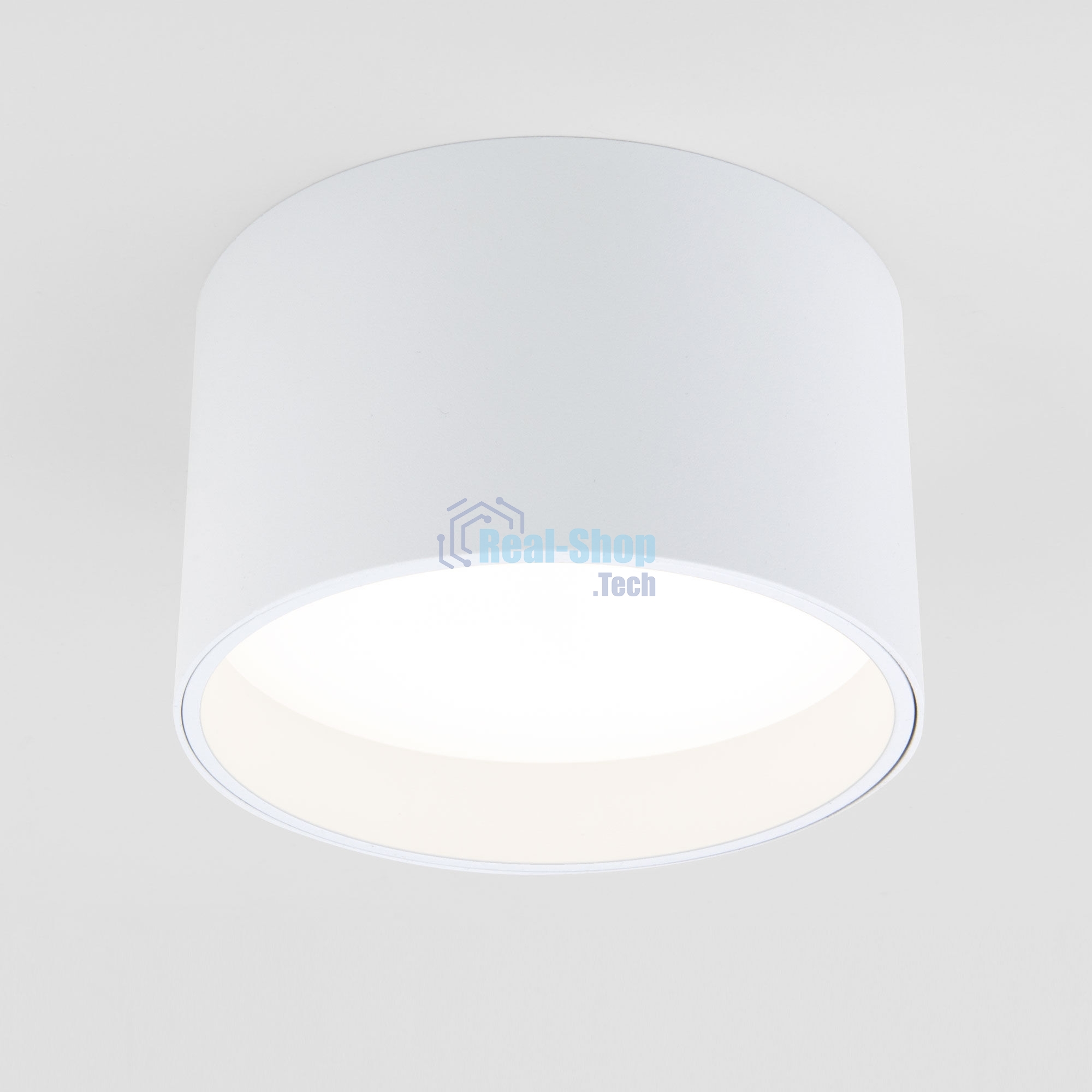 Светильник потолочный светодиодный Banti 13W 3000K белый 25123/LED