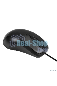 Мышь проводная ExeGate Professional Standard B100L черный, 1000 dpi, USB, кнопки - 3