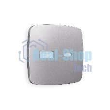 Лицевая панель OMEGA (Сталь матовый) для розетки 2USB тип A+C QUANT OP5110