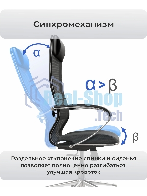 Кресло компьютерное ErgoLife Set 15/подл.131/осн.Synchro 052, черный 48D.16.1.403 z316737895
