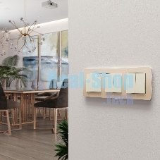 Рамка на 3 поста Platinum (шампань) W0032611