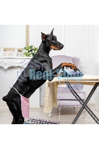 Утюг Galaxy Line GL 6128, фиолетовый с черным, паровой, 2200 Вт, постоянный пар 30 г/мин, паровой удар 140 г/мин, функции: самоочистка, антикапля, антинакипь, функция увлажнения, вертикальное отпаривание, защита от перегрева, индикатор нагрева, керамическ