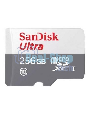 Флеш карта MICRO SDXC 256Gb UHS-I SDSQUNR-256G-GN3MN SANDISK
