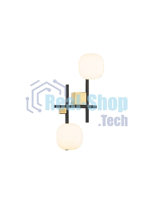 Настенный светильник Ambrella light LH51019/2 BK/BS/FR черный/латунь/белый матовый G9*2 max 28W 230*170*480