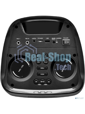 Акустическая система Midi TWS/BT/USB/TF/FM/ДУ GM-215 черный