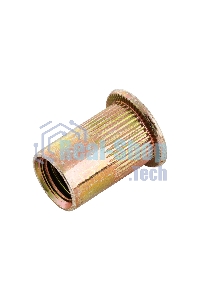 Заклепки резьбовые Denzel стальные, оцинкованные, М10, пластиковый кейс, 35 шт.