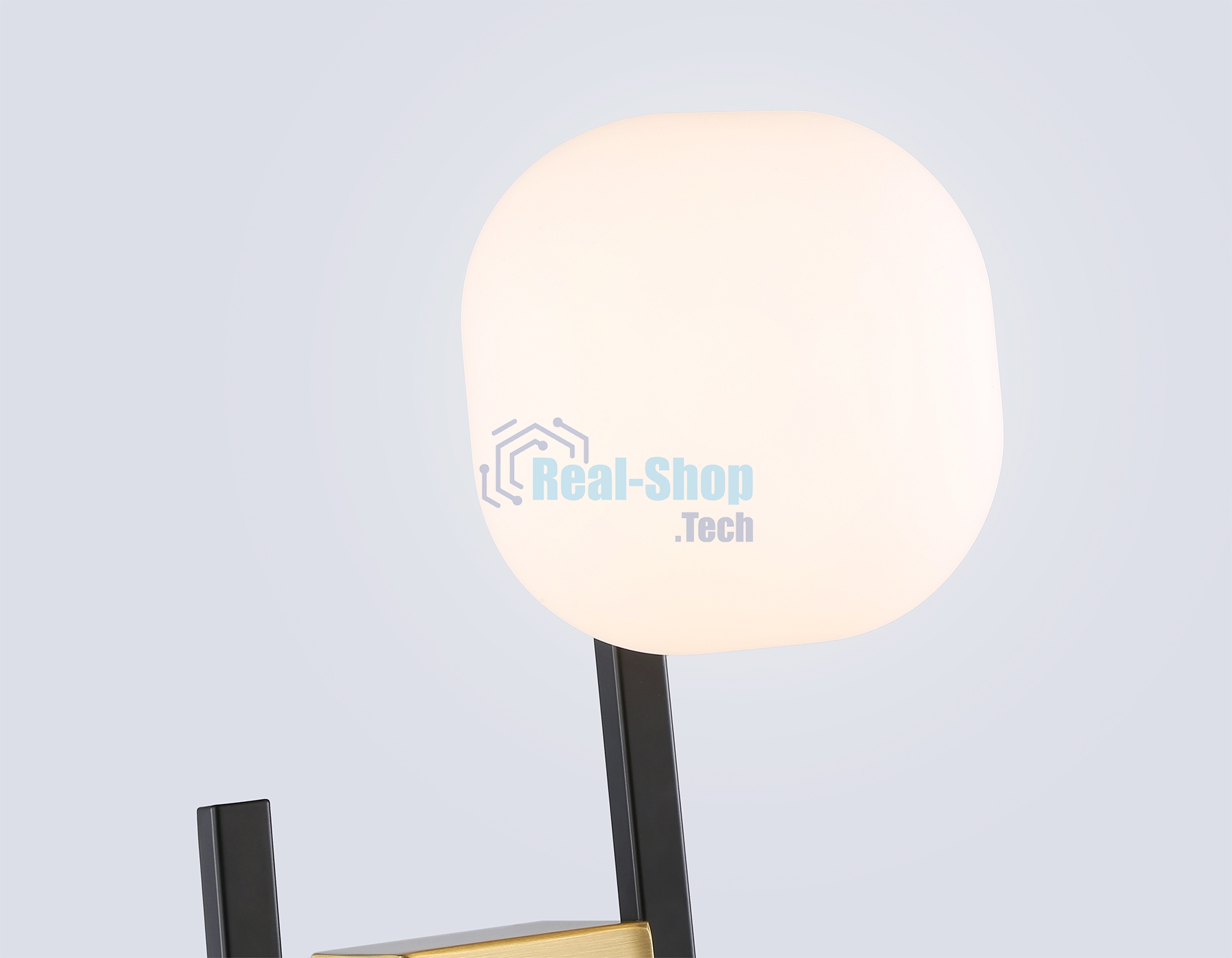 Настенный светильник Ambrella light LH51019/2 BK/BS/FR черный/латунь/белый матовый G9*2 max 28W 230*170*480
