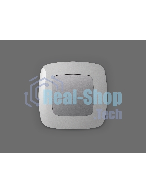 Лицевая панель OMEGA (Сталь матовый) заглушка для суппорта QUANT OP5160