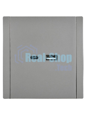 Розетка IEK FORTE&PIANO USB A+C 3,1А FP550 сталь