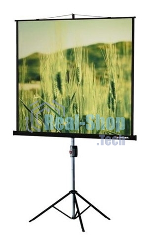Экран на треноге Lumien 220x165 см Master View LMV-100113 4:3 напольный рулонный