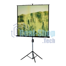 Экран на треноге Lumien 220x165 см Master View LMV-100113 4:3 напольный рулонный