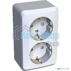 Розетка 2-м ОП Этюд 16А защ. шторки с заземл. белый SchE PA16-008B