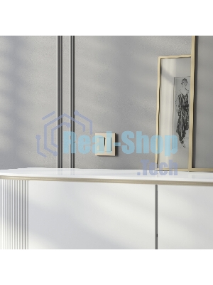 Рамка на 1 пост Slab (шампань софт) W0012911