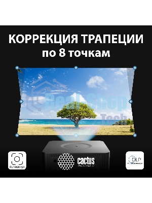 Проектор Cactus CS-M1.SG DLP 9600Lm (1920x1080) 200000:1 ресурс лампы:20000часов 1xUSB typeA 1xHDMI 1.9кг