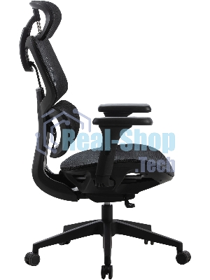 Кресло Cactus CS-MC555-BK черный, сетка, 150 кг, подголовник, регулируемые подлокотники, механизм качания