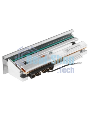 Печатающая головка iDPRT ASSY: iK4 Printhead 300 DPI