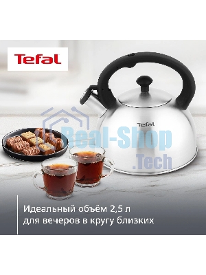 Чайник металлический со свистком Tefal N4210117 3110602015