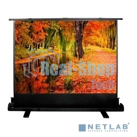 Экран Cactus 150x200 см FloorExpert CS-PSFLE-200X150 4:3 напольный рулонный