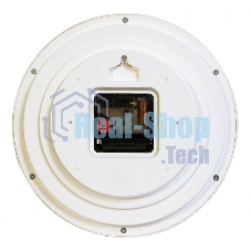 Часы настенные аналоговые Бюрократ WallC-R69P D22см белый