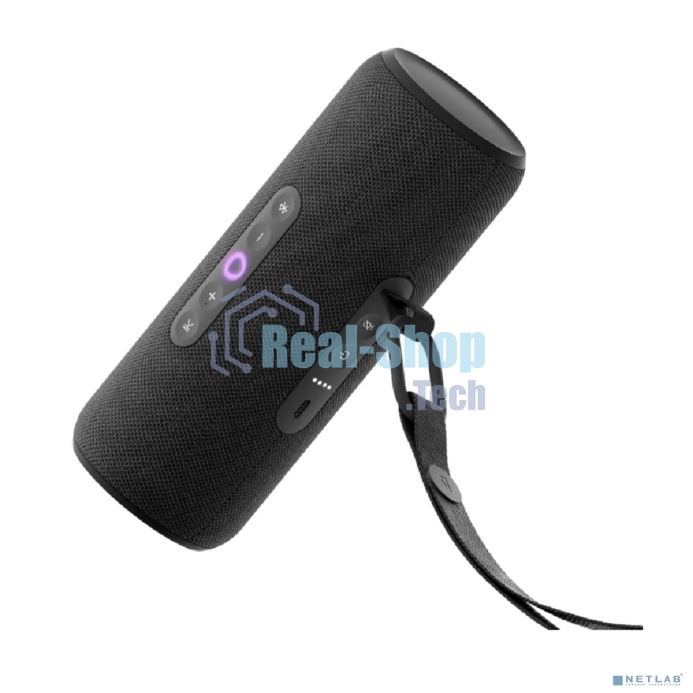 Умная колонка Yandex Стрит Алиса черный 30W 2.0 BT/Wi-Fi 10м 3300mAh (YNDX-00030BLK)