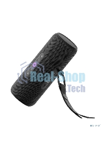 Умная колонка Yandex Стрит Алиса черный 30W 2.0 BT/Wi-Fi 10м 3300mAh (YNDX-00030BLK)