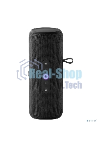 Умная колонка Yandex Стрит Алиса черный 30W 2.0 BT/Wi-Fi 10м 3300mAh (YNDX-00030BLK)