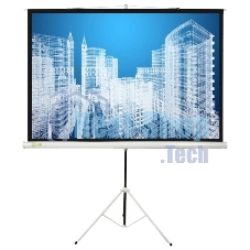 Экран Cactus 104.4x186см Triscreen CS-PST-104x186 1:1 напольный рулонный белый