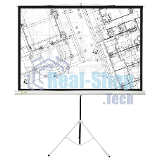 Экран Cactus 127x127см Triscreen CS-PST-127X127 1:1 напольный рулонный белый