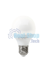 Лампа светодиодная Hiper THOMSON LED GLOBE 6W 500Lm E14 4000K TH-B2032