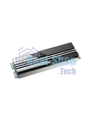 Накопитель SSD Netac NV5000, 500Gb, M.2 2280, PCIe 4.0 x4, NVMe, R/W 5000/2500, с радиатором