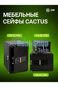 Сейф мебельный Cactus CS-SF-T30 300x420x350мм электронный