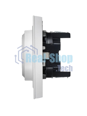 Розетка IEK BR-R21-16-K91-F 2-м СП BRITE РС12-3-БрАБ 16А в сборе с заземл. без защ. шторок арктич. бел.
