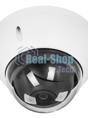 Камера видеонаблюдения Dahua DH-SD22404DB-GNY
