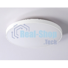 Потолочный светодиодный светильник Ambrella light FZ1220 WH белый IP44 13W 4200K D232*50 (Без ПДУ)