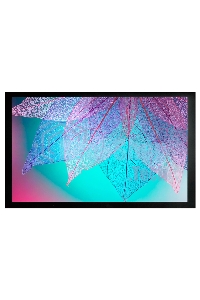 Экран на раме Cactus 124x220 см FrameExpert CS-PSFRE-220X124 16:9 настенный натяжной