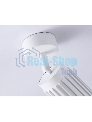 Светильник Ambrella light TN51677 WH белый GU10 D60*120