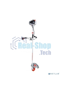 Бензиновый триммер Ресанта БТР-2900П 70/2/44