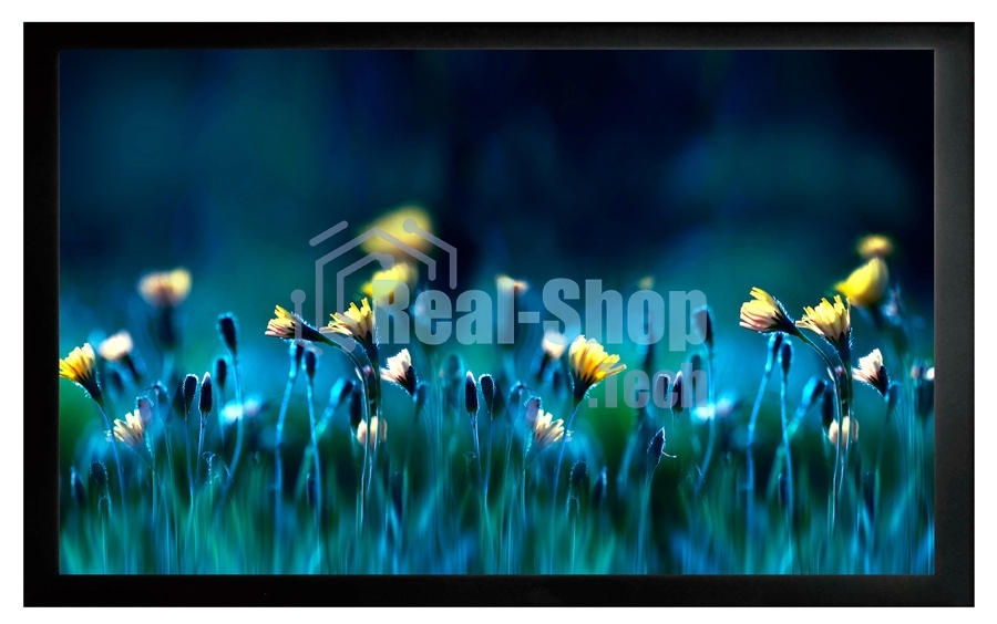 Экран на раме Cactus 113x200 см FrameExpert CS-PSFRE-200X113 16:9 настенный натяжной