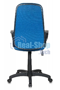 Кресло руководителя Бюрократ CH-808AXSN/TW-10 синий TW-10