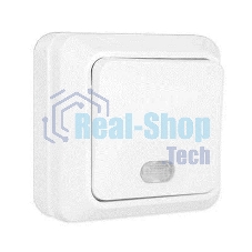 Выключатель 1-кл. ОП Олимп 10А IP20 с индик.белый Universal О0121