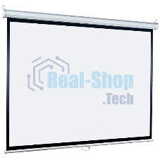 Экран Lumien 153x153см Eco Picture LEP-100107 1:1 настенно-потолочный рулонный